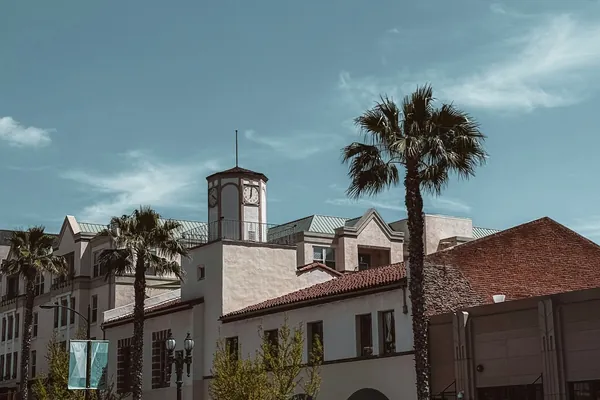 Palms and young street trees along a Pasadena street with a clock tower