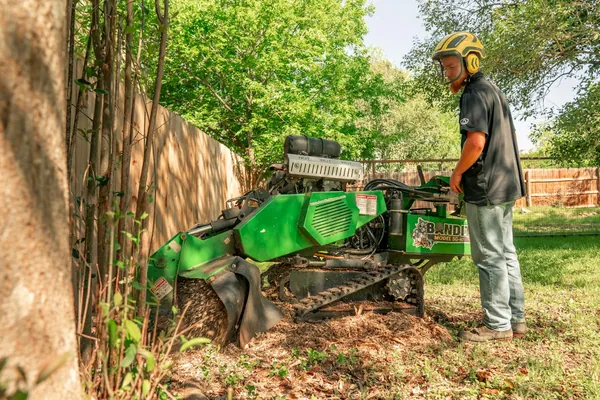 Worker running a tracked stump grinder beside a wood fence
