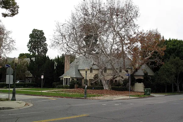 Large bare sycamore over a street corner and a house in Los Angeles